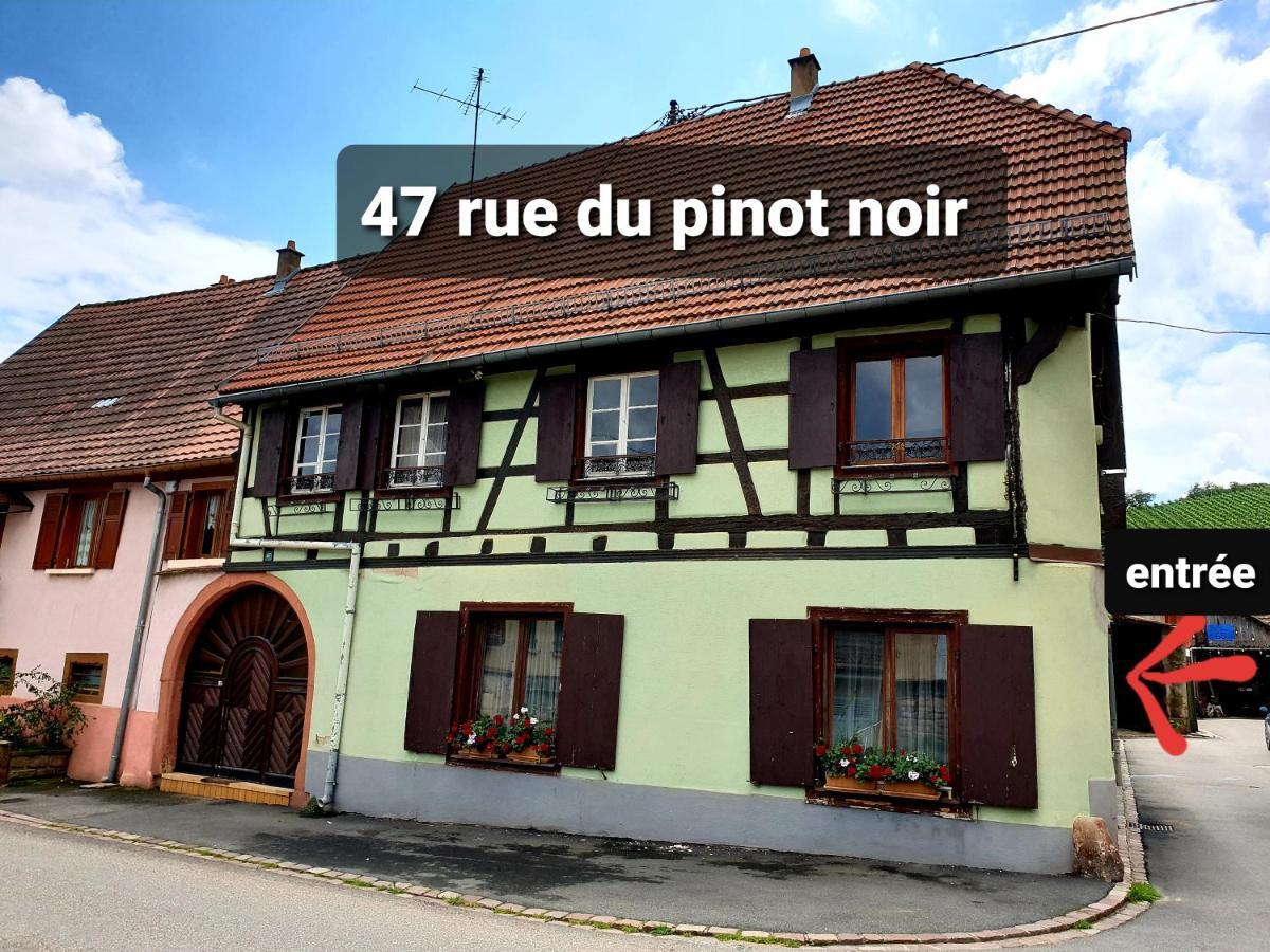 Charmant Appartement Alsacien Rodern Exterior photo